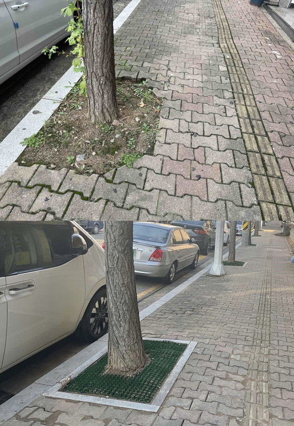 지난해 하반기에 진행한 가로수 보호 시설물 정비공사 전·후