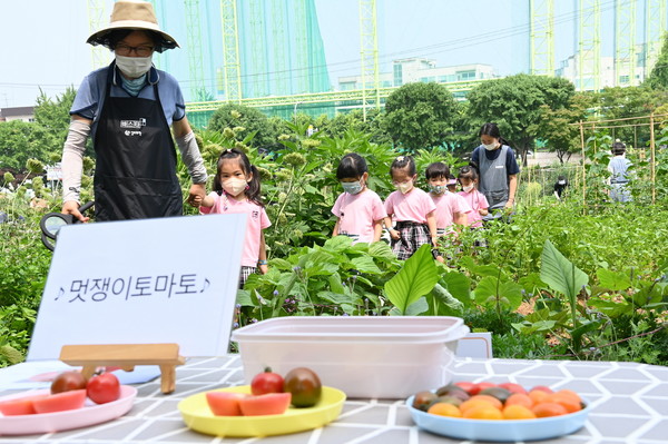 탑동시민농장 텃밭에서 도시농업 전문가들과 함께 유아 치유생태텃밭 프로그램에 참여하고 있는 어린이들